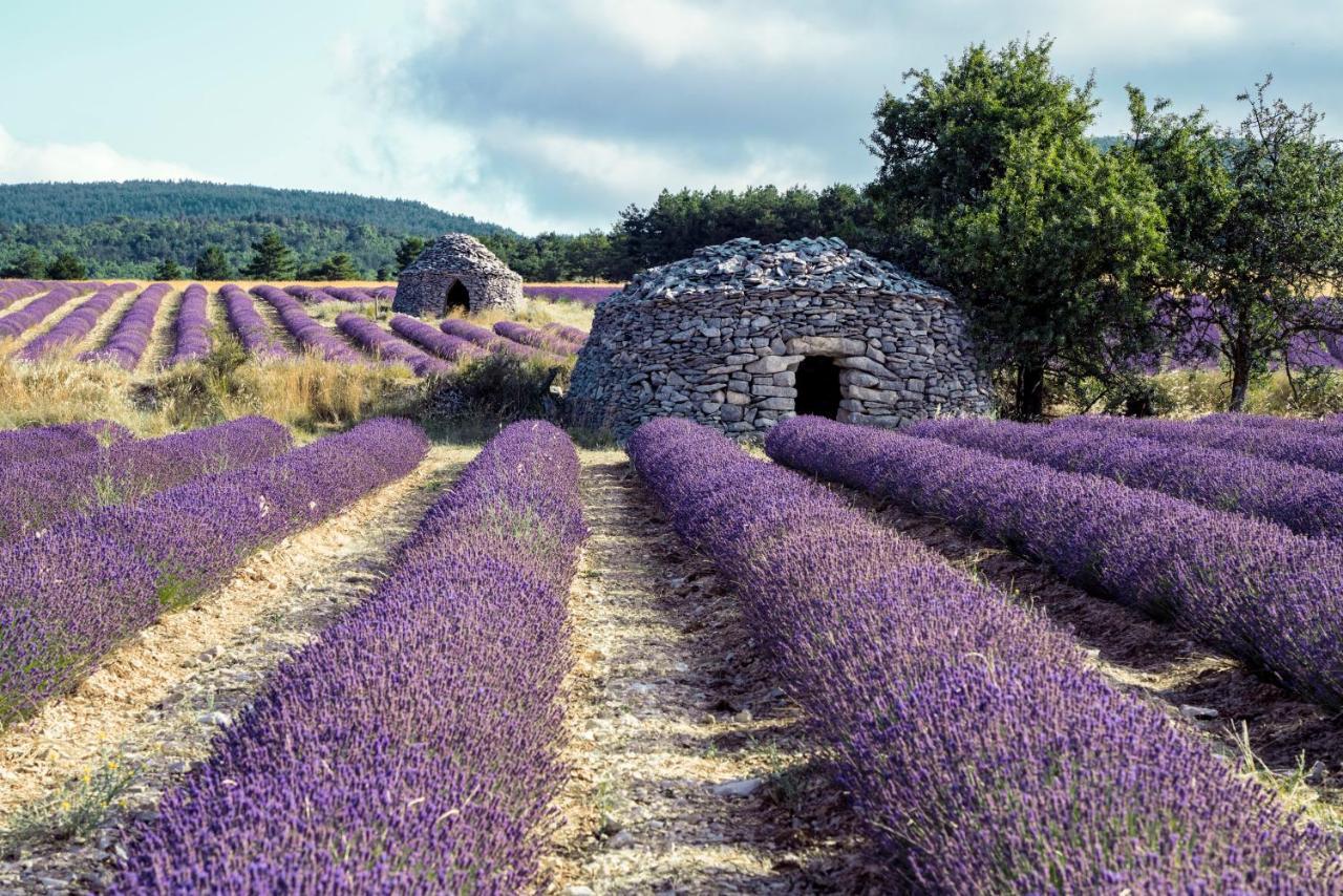 Gite La Bastide De La Loge Au Pied Du Mont Ventoux Sault-de-Vaucluse Εξωτερικό φωτογραφία